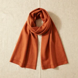 Rust Orange Embroidered Pashmina Shawl